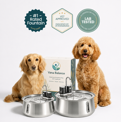 Vana Balance™ Filtered Pet Fountain