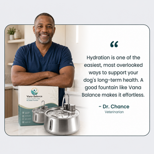 Vana Balance™ Filtered Pet Fountain
