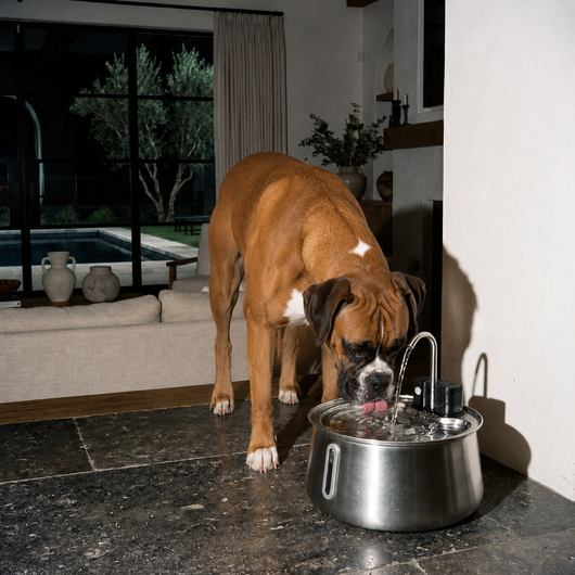 Vana Balance™ Filtered Pet Fountain