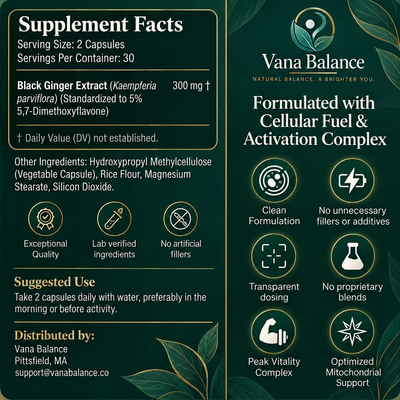 Vana Balance™ Black Ginger Complex