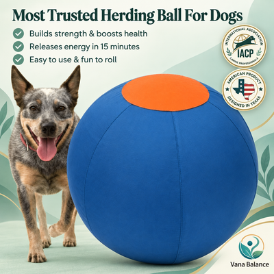 Vana Balance™ Herding Ball
