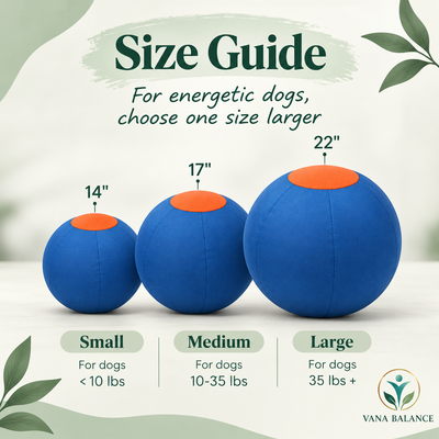 Vana Balance™ Herding Ball