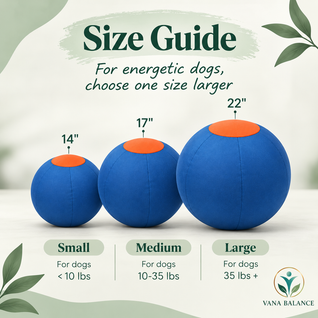 Vana Balance™ Herding Ball