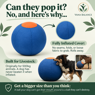 Vana Balance™ Herding Ball