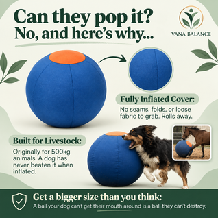 Vana Balance™ Herding Ball
