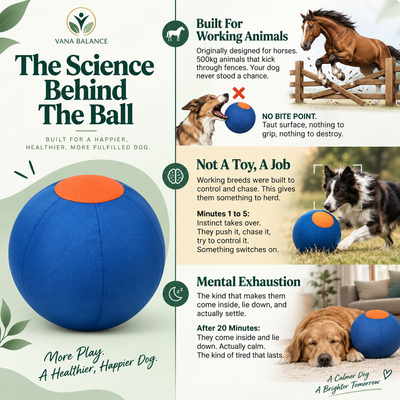 Vana Balance™ Herding Ball
