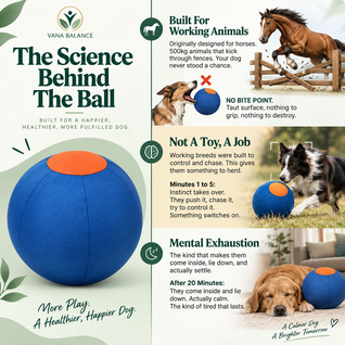Vana Balance™ Herding Ball