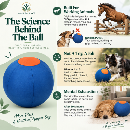 Vana Balance™ Herding Ball