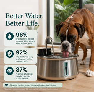 Vana Balance™ Filtered Pet Fountain